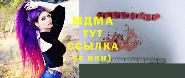 индика Нея