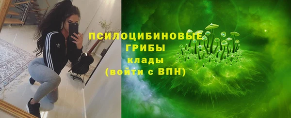 индика Нея