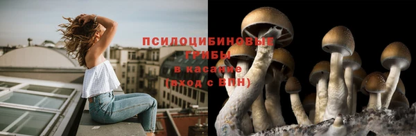 спиды Нефтекумск