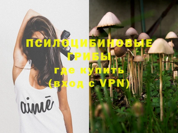 мескалин Новозыбков