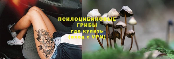 индика Нея