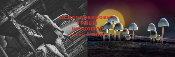 мескалин Новозыбков