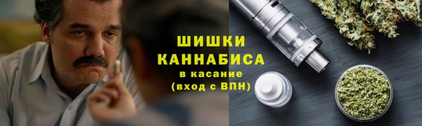 крисы Новодвинск