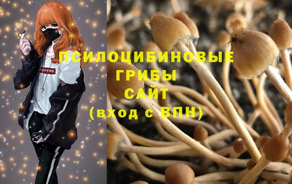 ALPHA PVP Нефтегорск