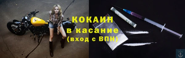 индика Нея