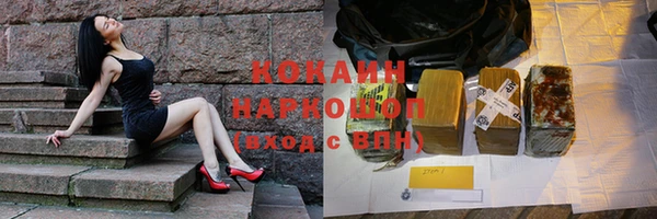 крисы Новодвинск