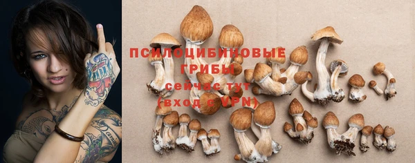 индика Нея