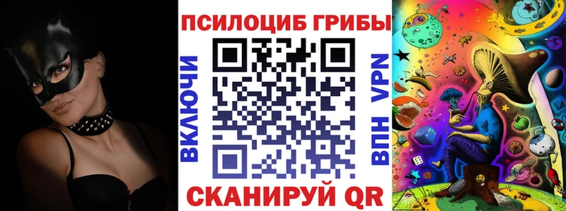 Купить  Губаха  Галлюциногенные грибы Cubensis 